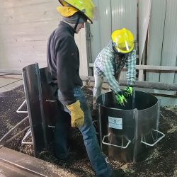 grainGuardian_04-24-24